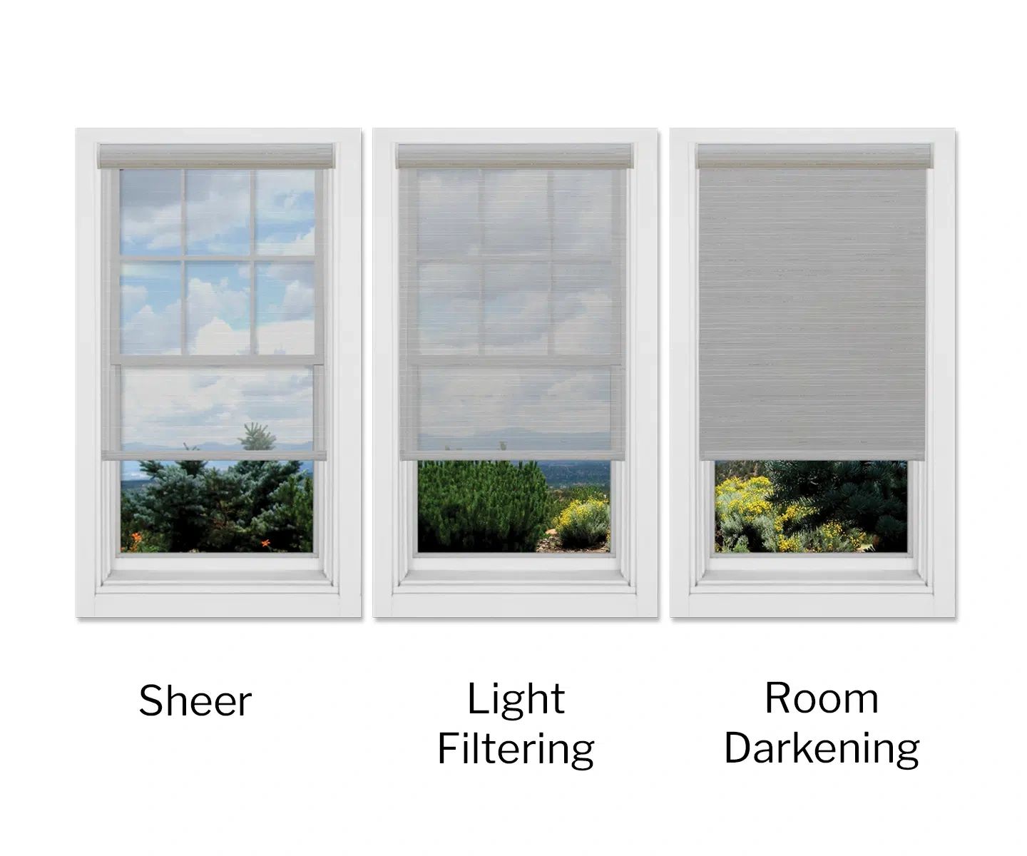 Window blinds and shades showing light filtering options